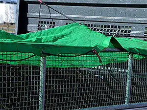 Cargo Netting, Jacksonville, FL